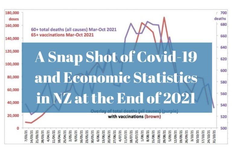 A Snap Shot of Covid-19 and Economic Statistics in NZ at the End of 2021