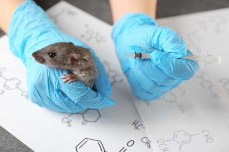 Why Biotechnology Experimentation Has to Be Stopped—it’s Urgent