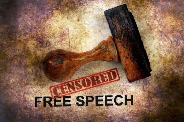 The New Zealand Government Has Tabled Proposals to Appoint a Chief Wizard