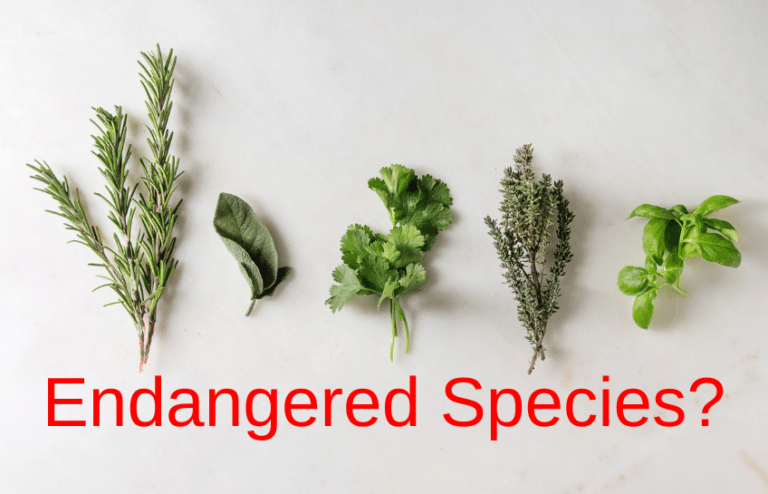 While You Were Sleeping….