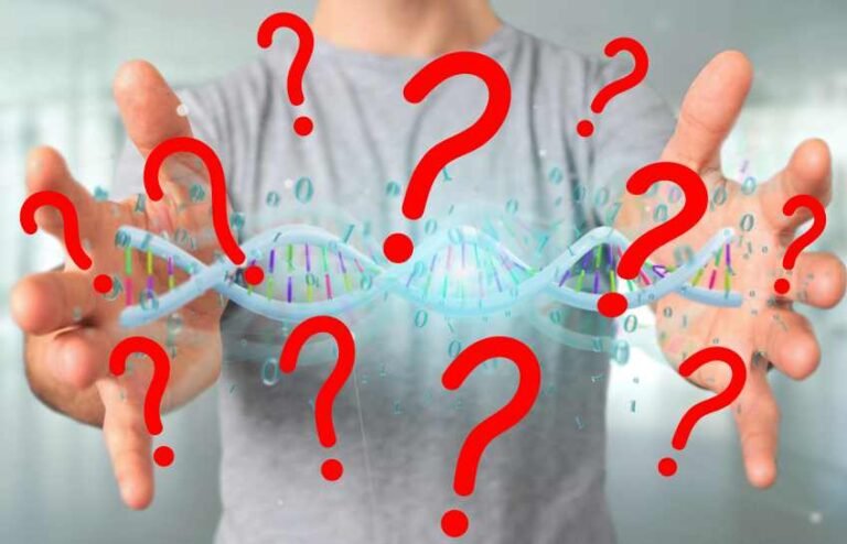 Why Do We Ask the Same Questions Again and Again?