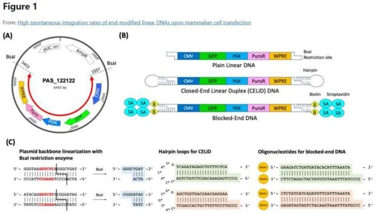 Our Worst Nightmare Beckons