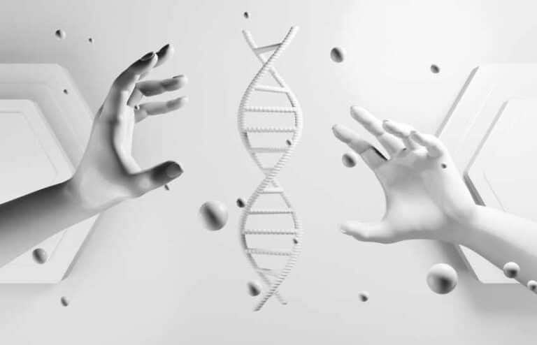 What Just Happened to New Zealand? Apparently It is All Our Own Fault