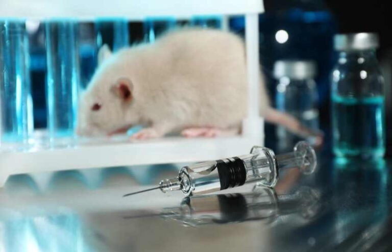 The Coalition Teeters on the Brink of Some Dangerous Decisions