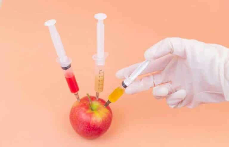 Government Announces Biotechnology Deregulation is Coming to New Zealand very soon. What Will It Mean for Us?