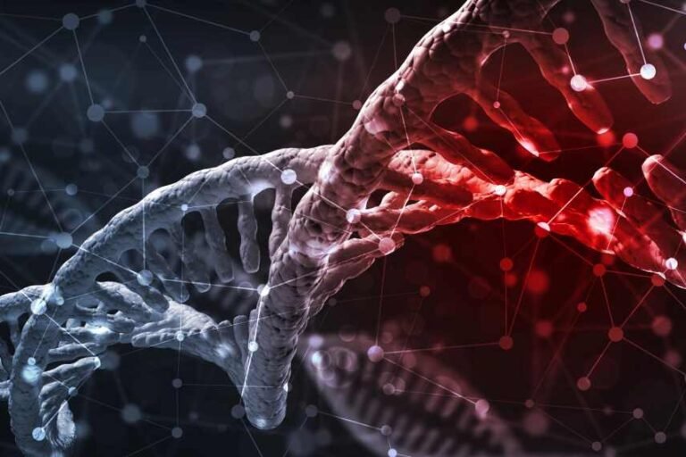 Submission Template: The Gene Technology Bill