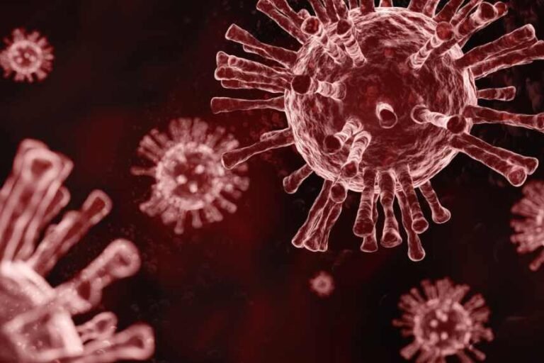 Initial Submission of the Hatchard Report to Phase 2 of the Royal Commission on Covid-19 Lessons