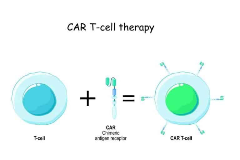 Two Roads Diverged in a Wood 