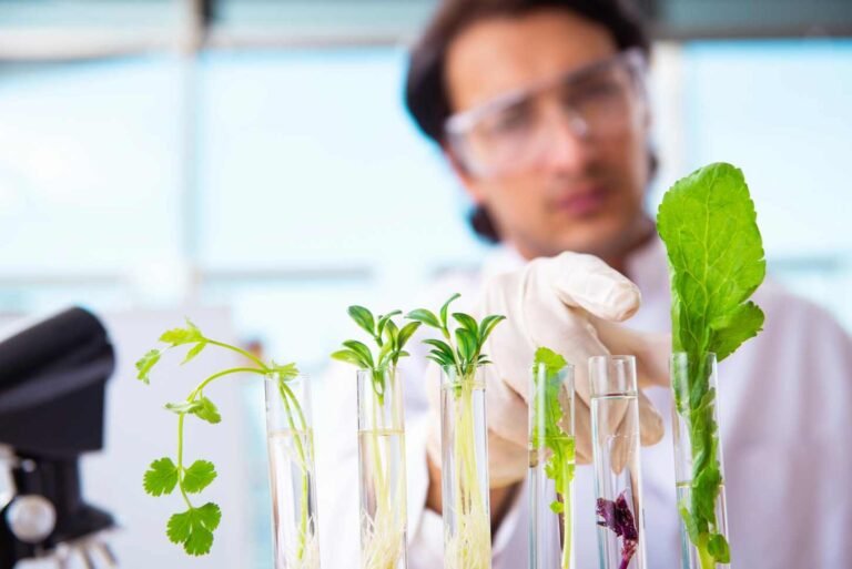 Open Letter To the Hon. Winston Peters, Party Leader and NZ Foreign Minister, and NZ First MPs 