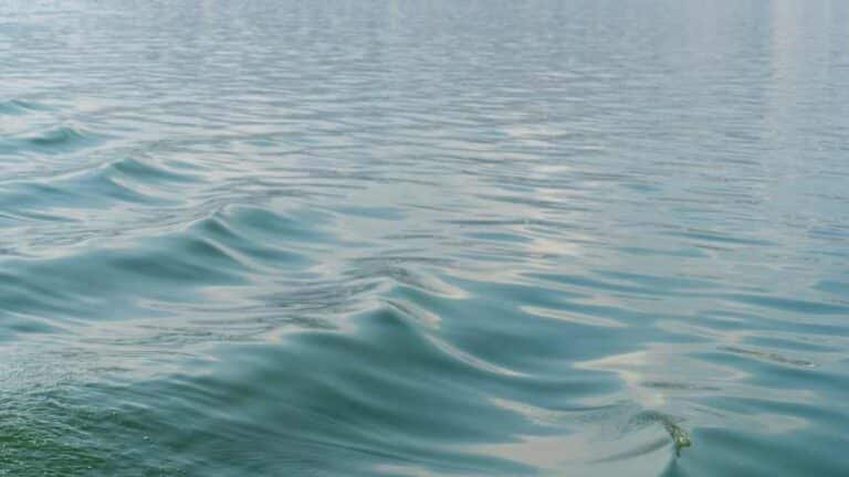 A Rising Tide Lifts All Boats