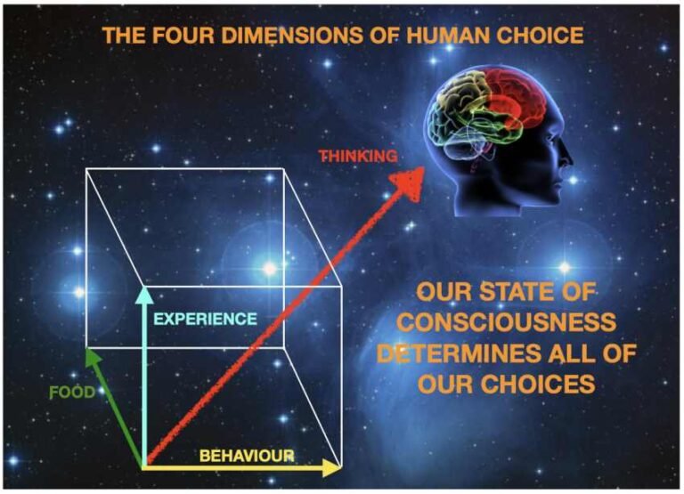 A Very Important Read: What is the Solution to NZ’s Health Crisis?