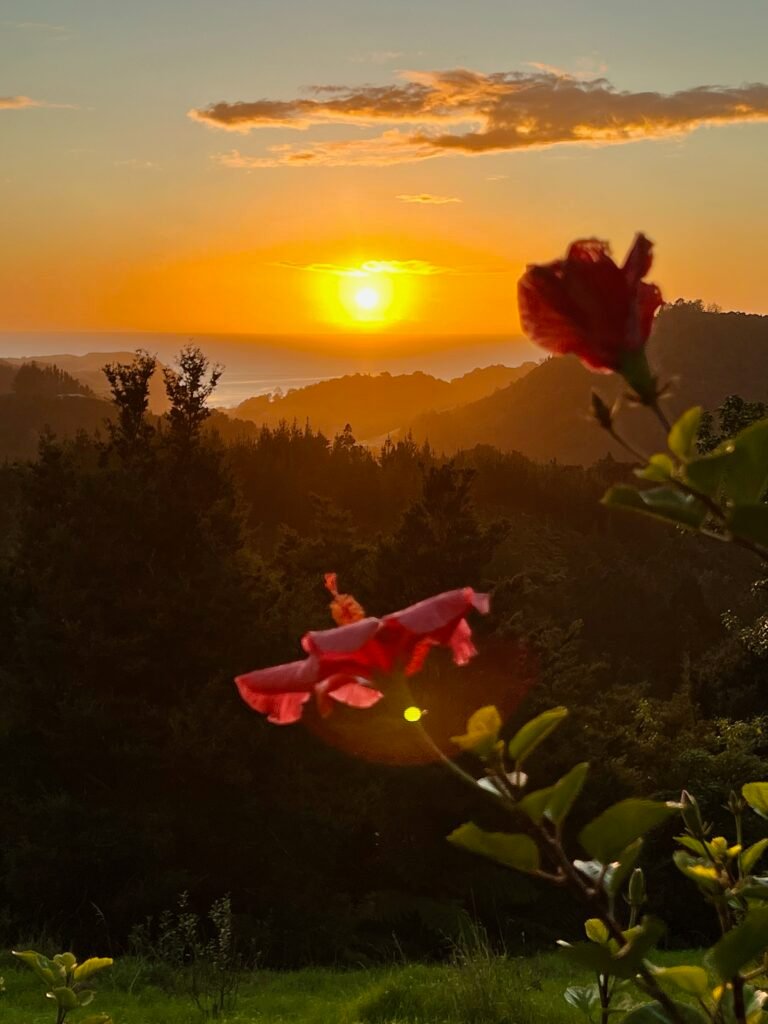 If you are feeling challenged by world events