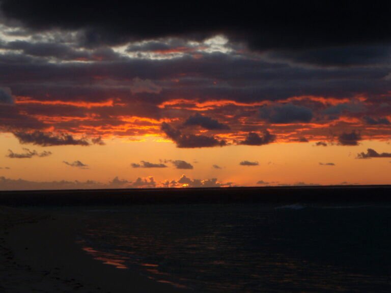 The Royal Commission Report is a Scientific and Ethical Failure.